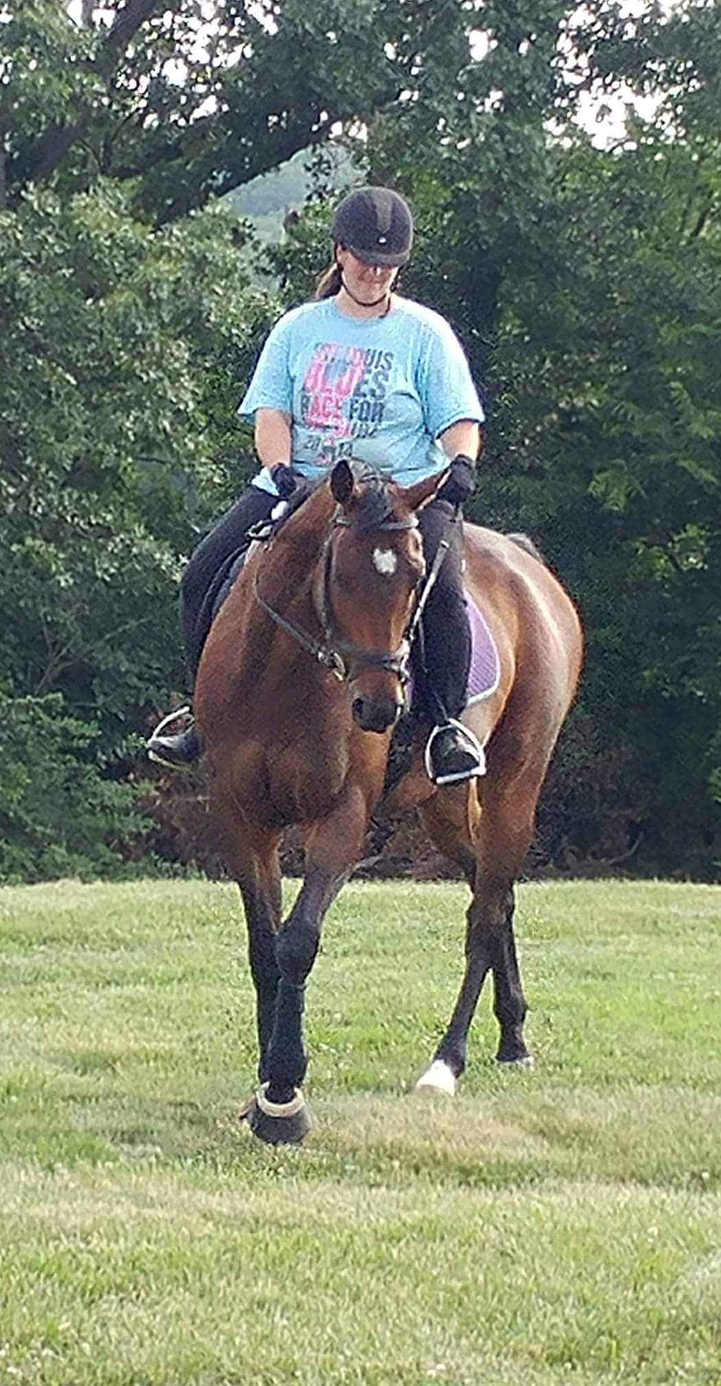 Retired Racehorse Project – Page 2 – The Adventures of June Storm and ...